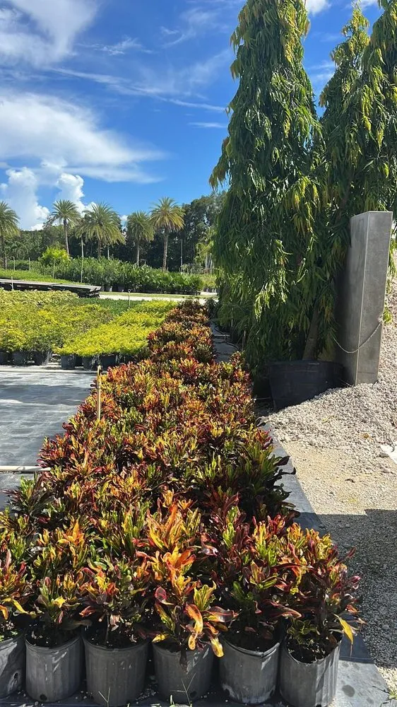 Expert residential landscaping in Oakland Park, FL - Citywide Lawn Service