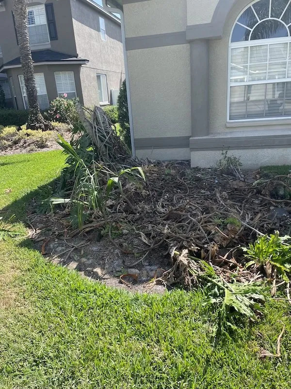 Expert yard cleanup service in Pasco County, FL by Cityyy Lawn Service