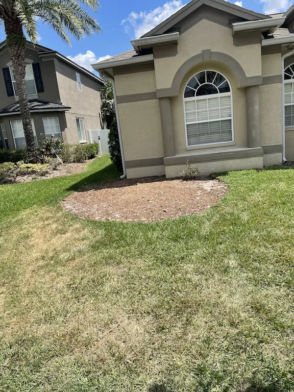 Custom lawn care service in Pasco County, FL by Cityyy Lawn Service