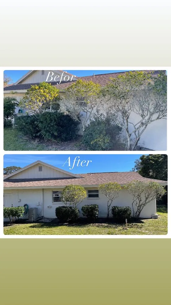 Top-rated yard maintenance in Pasco County, FL - Cityyy Lawn Service