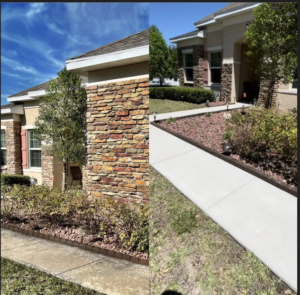 Reliable landscape design experts serving Pasco County, FL - Cityyy Lawn Service