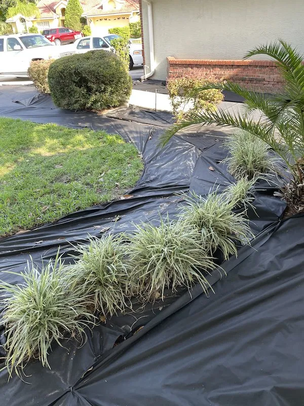 Affordable yard maintenance for year-round maintenance across Pasco County, FL - Cityyy Lawn Service