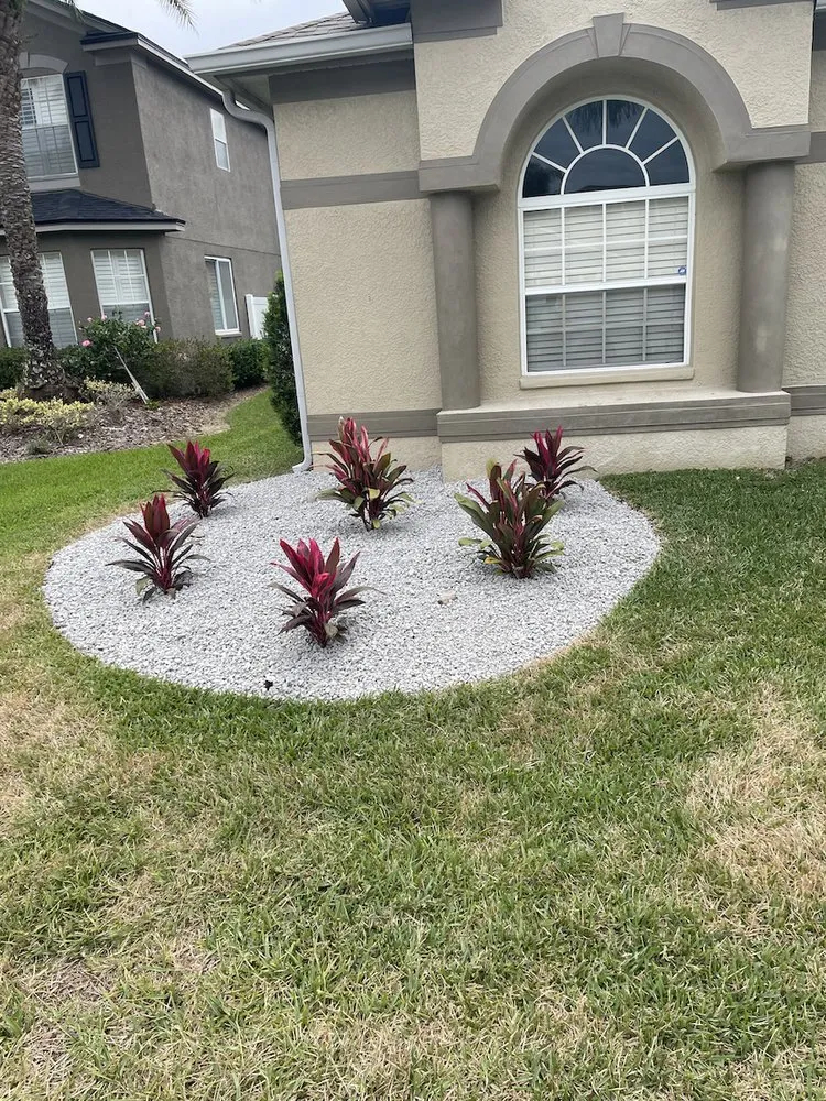 Top-rated yard maintenance in Pasco County, FL - Cityyy Lawn Service