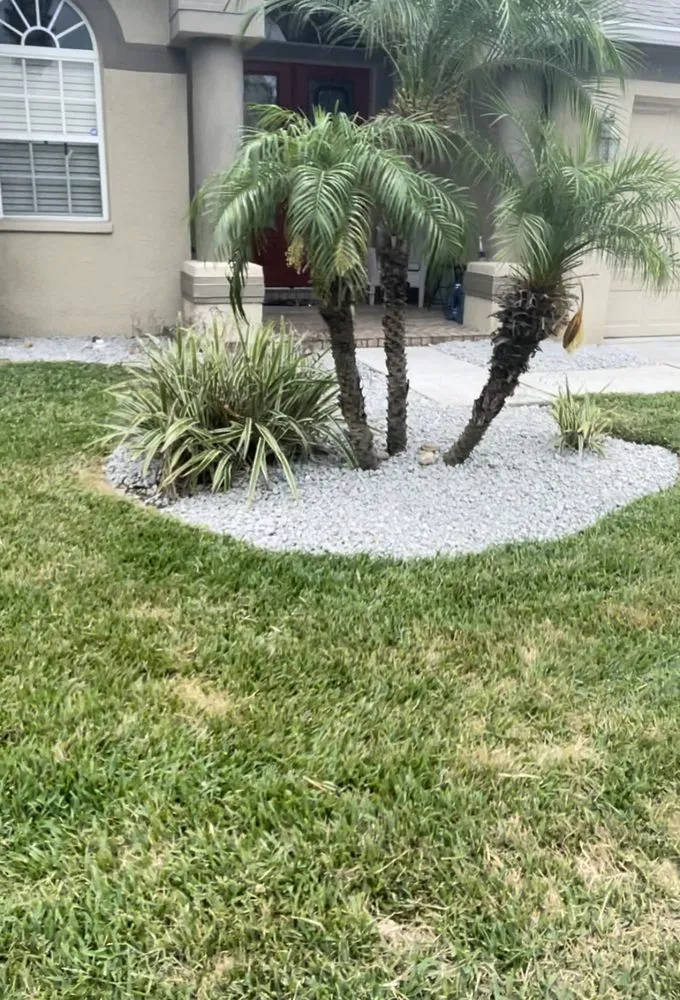 Local residential landscaping in Pasco County, FL by Cityyy Lawn Service