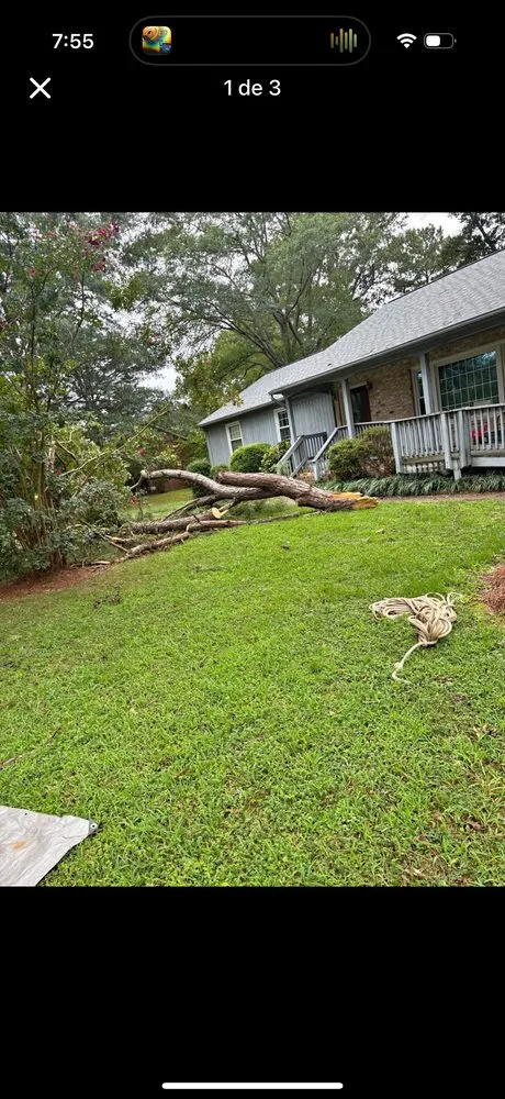 Local lawn care service in Phoenixville, PA by CJ Brothers Lawn Care