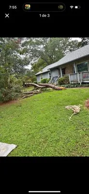 CJ Brothers Lawn Care Logo