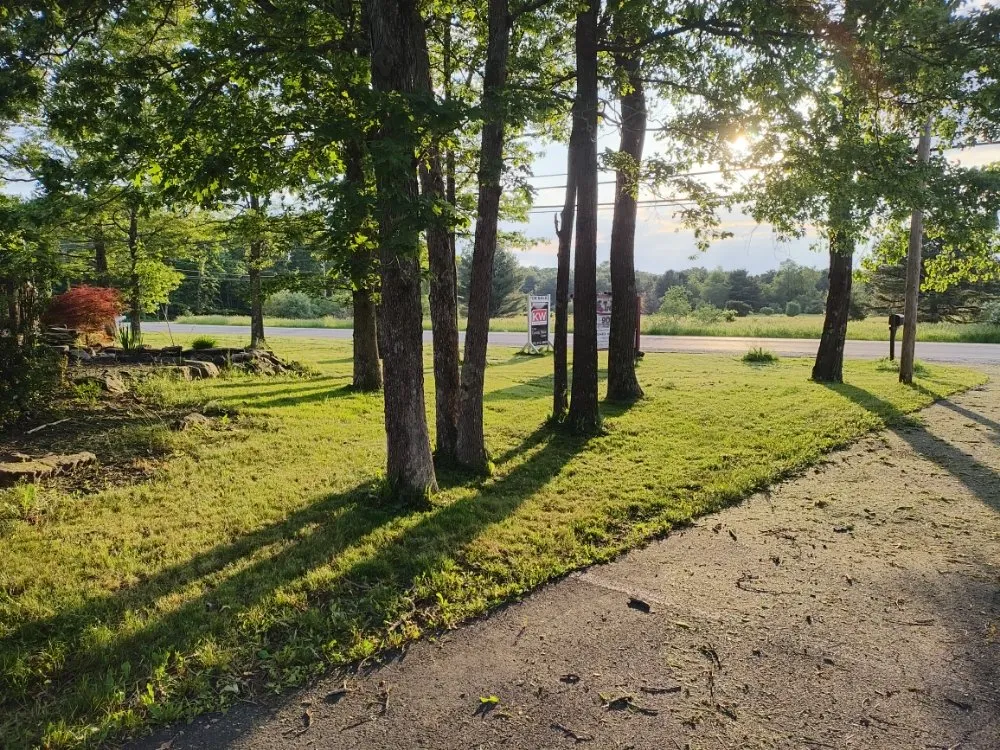 Expert yard maintenance for beautiful yards in Lehighton, PA by CJ Cleanouts