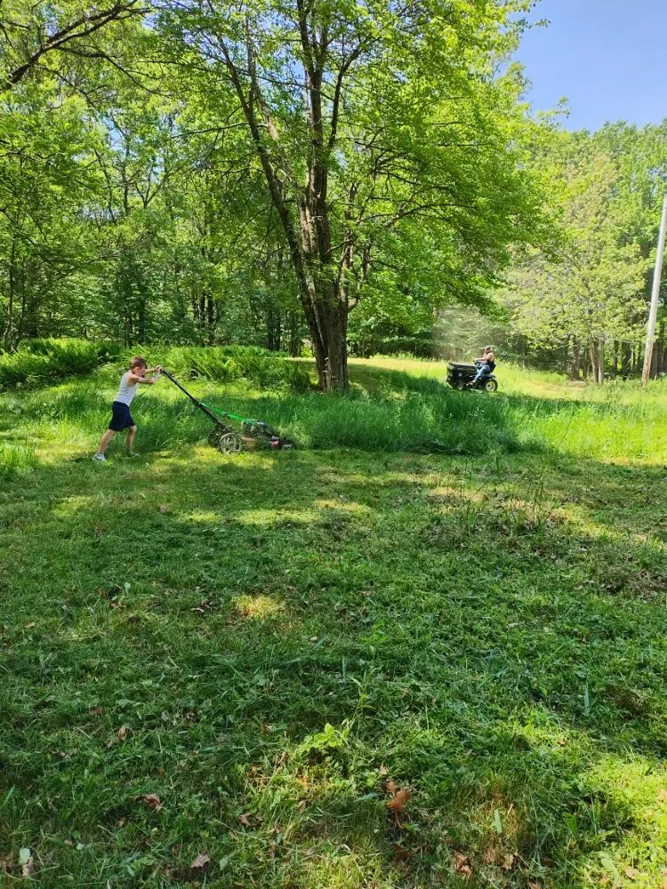 Professional lawn care service for homes across Lehighton, PA - CJ Cleanouts