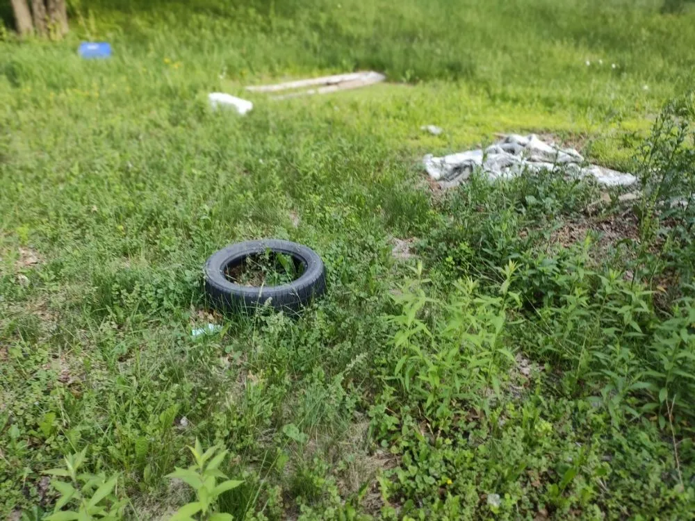 Professional lawn care service in Lehighton, PA - CJ Cleanouts