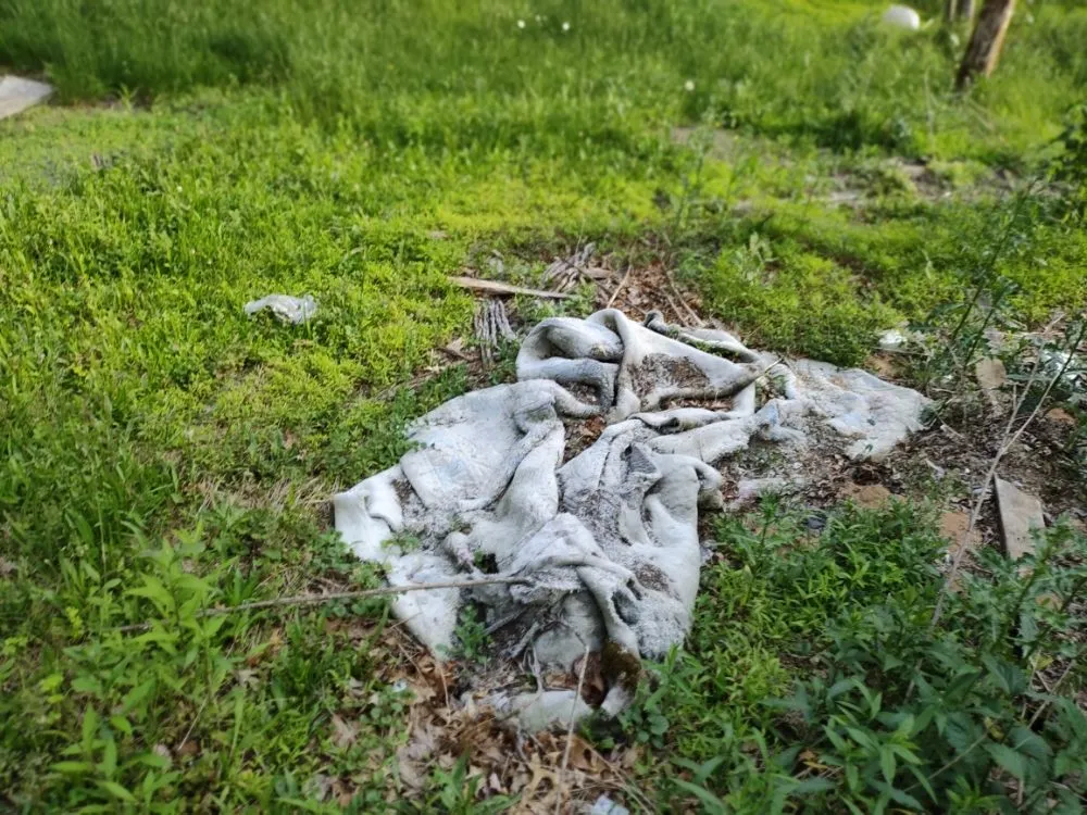 Trusted residential landscaping experts serving Lehighton, PA - CJ Cleanouts