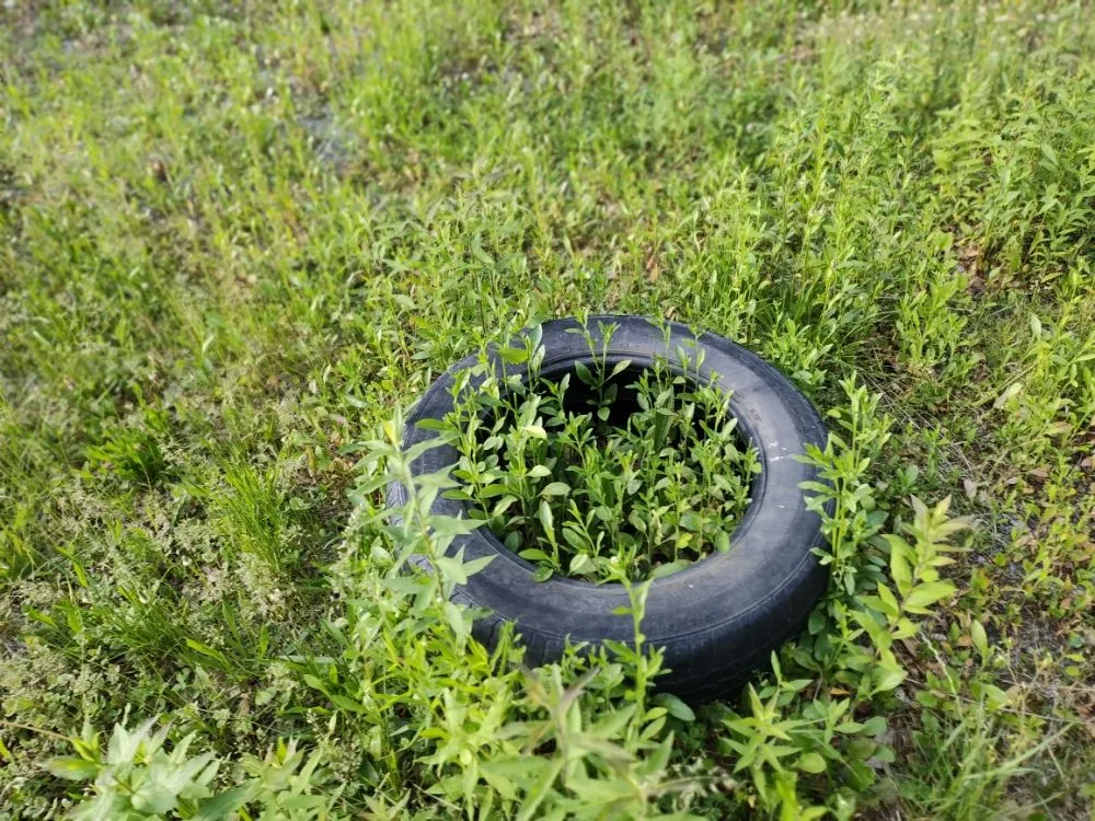 Top-rated outdoor landscaping in Lehighton, PA by CJ Cleanouts