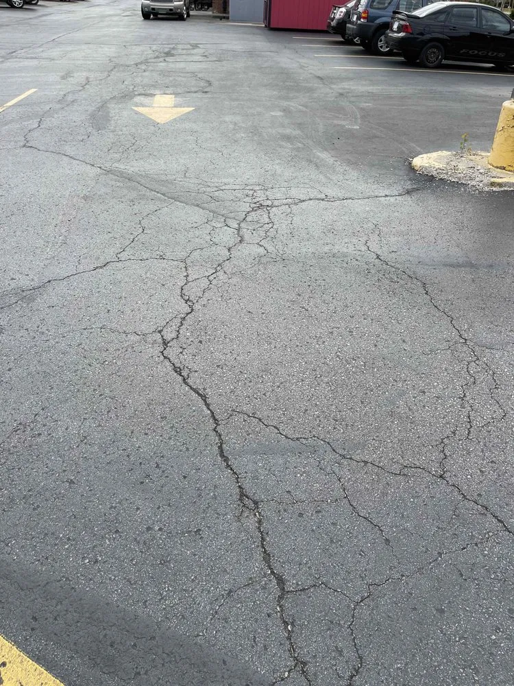 Expert yard cleanup service for residential properties in Buckner, MO by CJ Construction