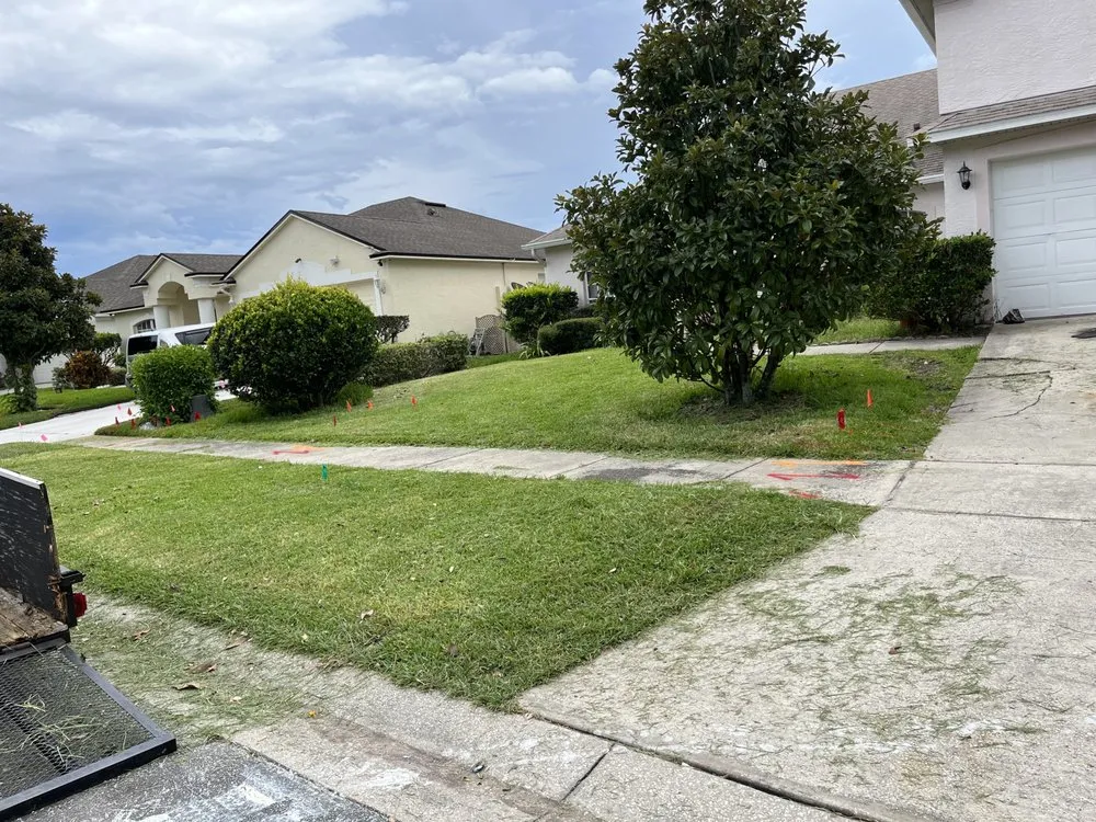 Professional landscape installation in Orlando, FL by CJ Doitright