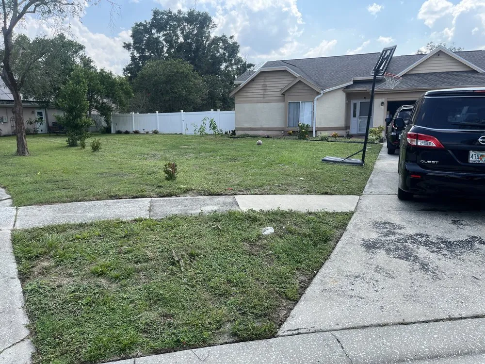 Reliable yard cleanup service in Orlando, FL - CJ Doitright