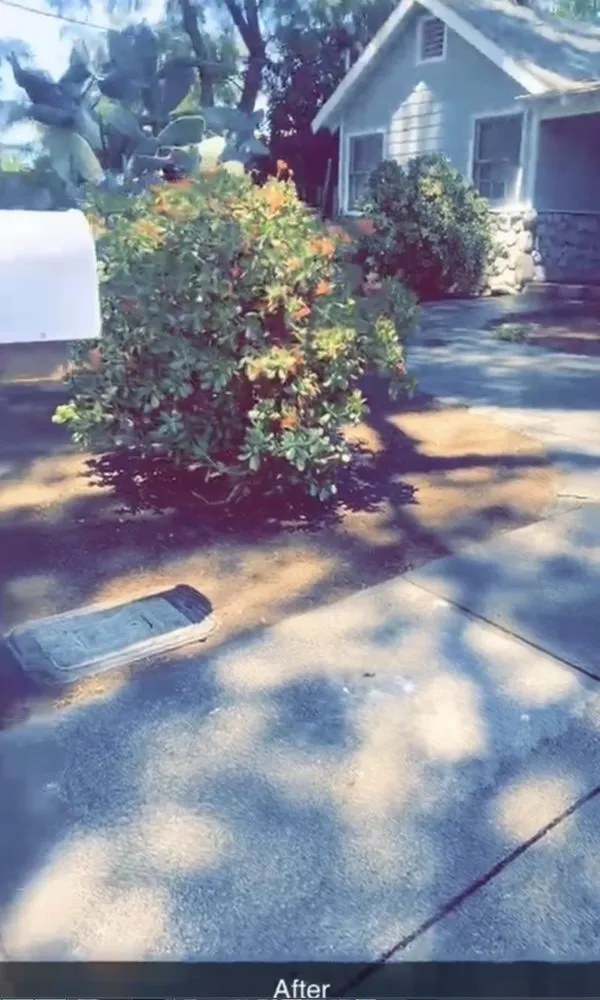 Local landscape design near you in Los Angeles, CA by C&J Garden Services and Landscaping