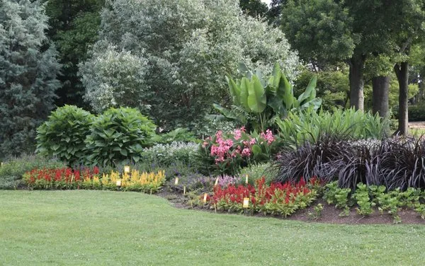 C&J Garden Services and Landscaping Logo