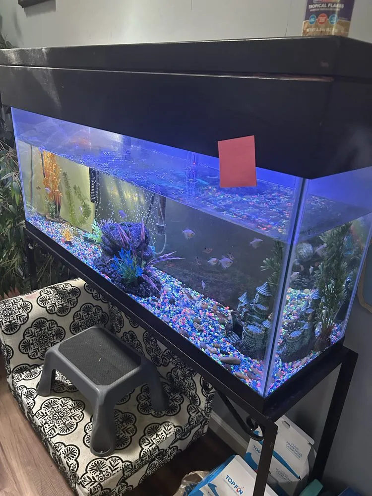 Custom garden landscaping for year-round maintenance in Snellville, GA by C&J Homes Services