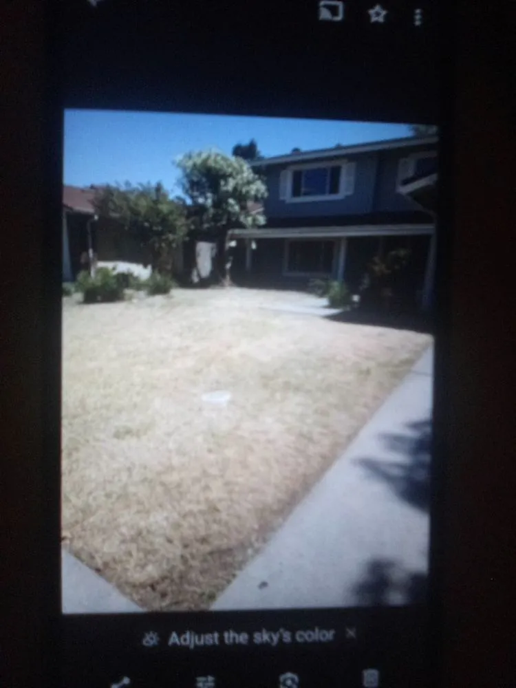 Affordable outdoor landscaping experts serving Stockton, CA - CJ Kickgrass Lawn Service