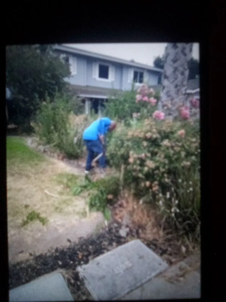 Professional garden landscaping in Stockton, CA by CJ Kickgrass Lawn Service