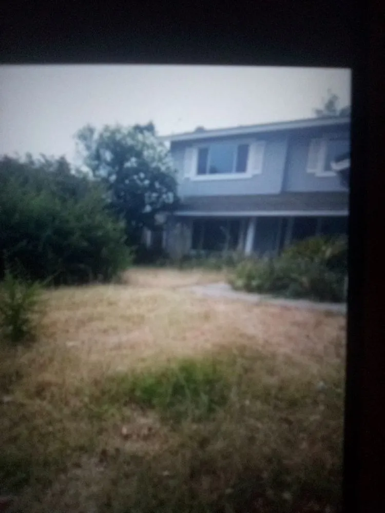 Local landscaping services in Stockton, CA - CJ Kickgrass Lawn Service