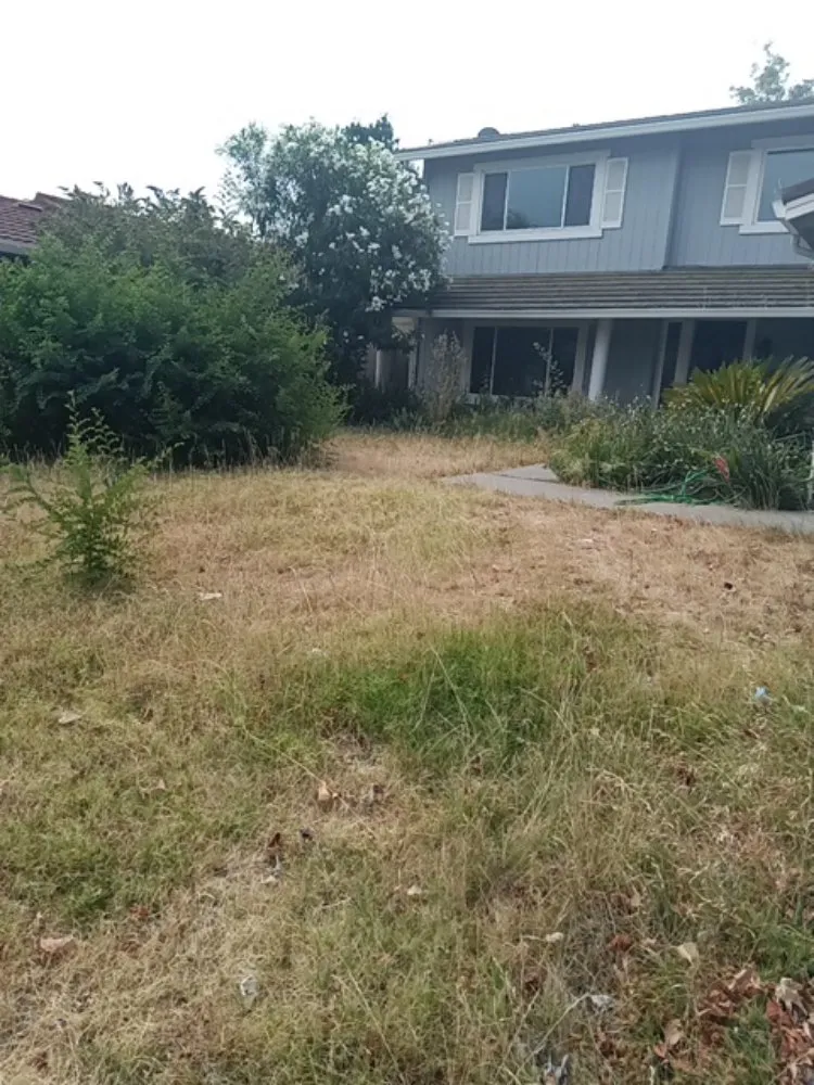 Custom landscape installation in Stockton, CA - CJ Kickgrass Lawn Service