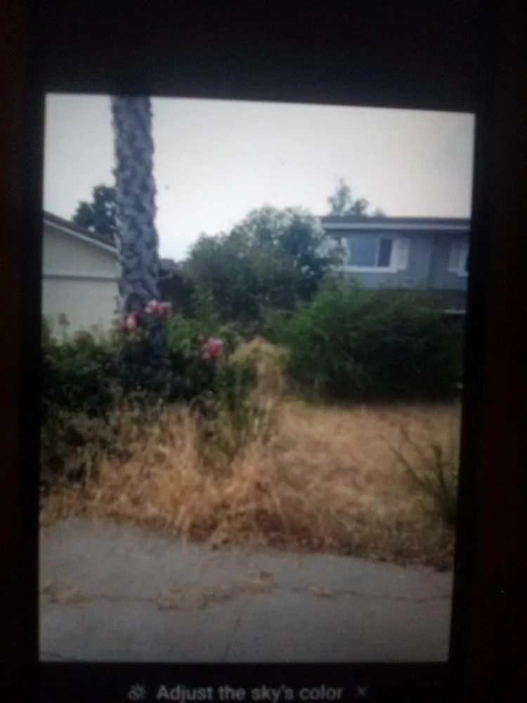 Expert garden landscaping for outdoor upgrades in Stockton, CA by CJ Kickgrass Lawn Service