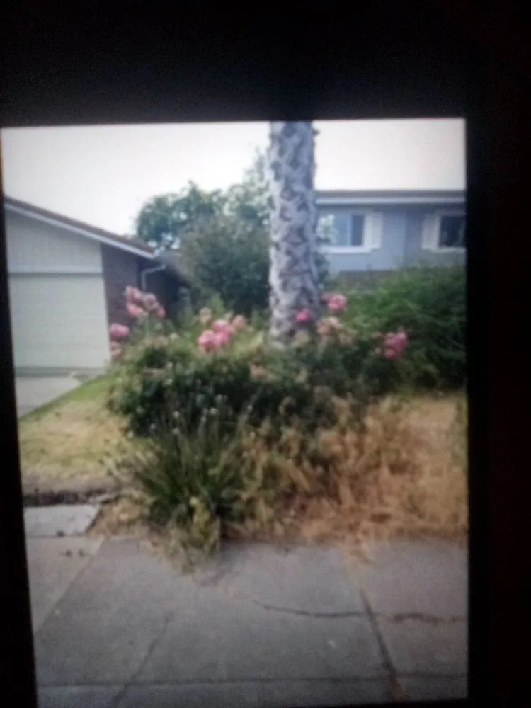 Local landscape installation in Stockton, CA - CJ Kickgrass Lawn Service