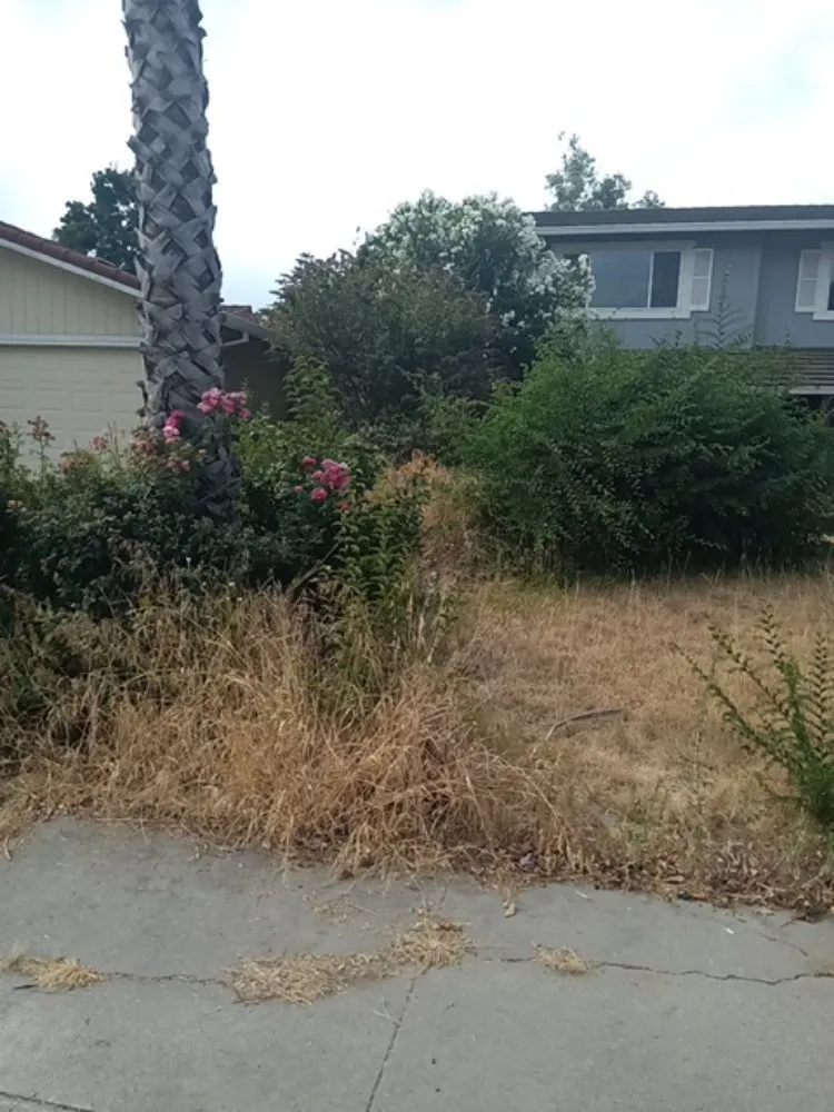 Local residential landscaping near you across Stockton, CA - CJ Kickgrass Lawn Service