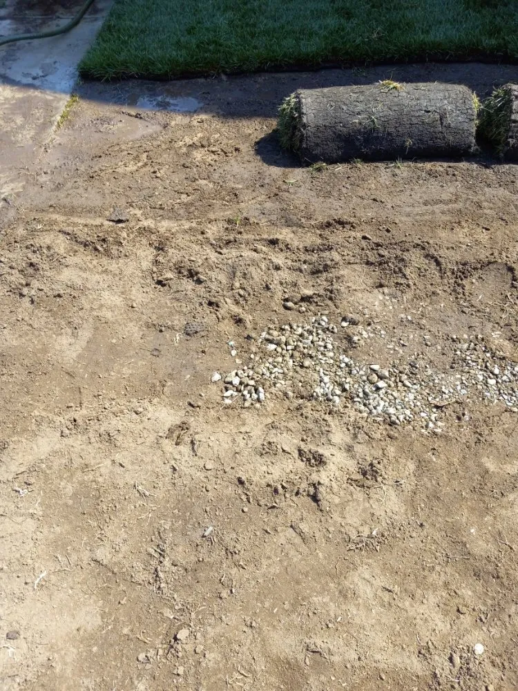 Affordable landscape installation experts serving Stockton, CA - CJ Kickgrass Lawn Service