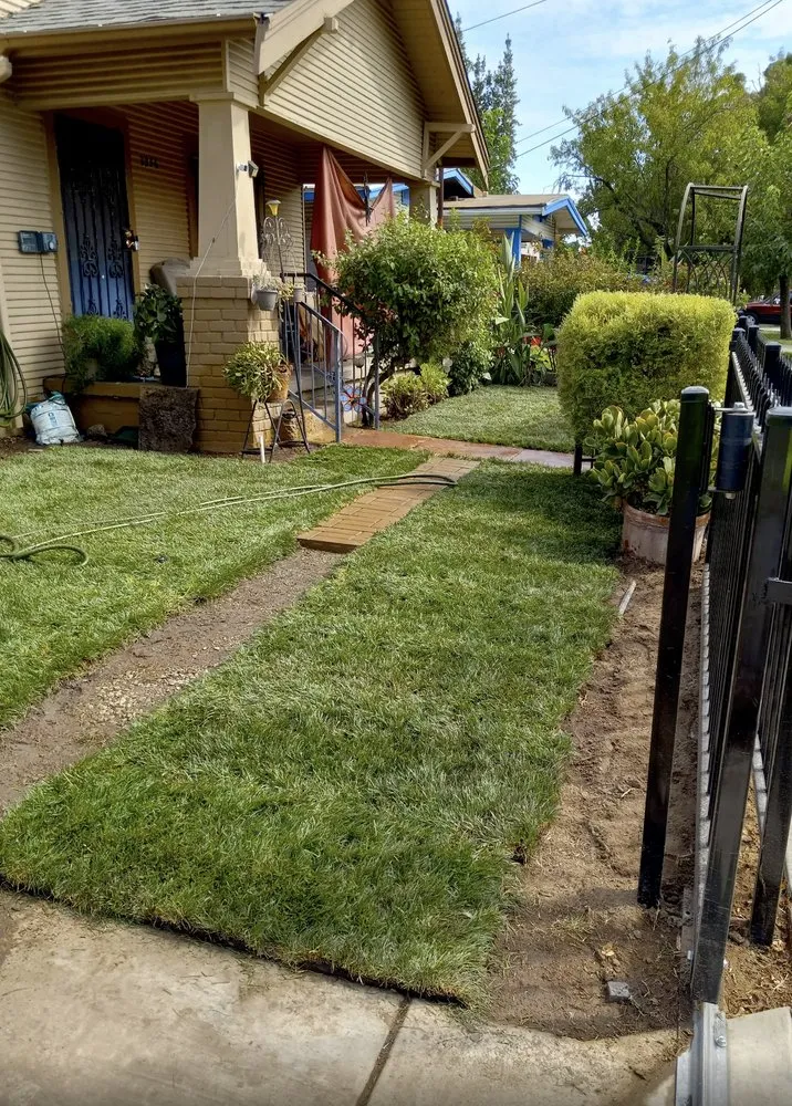 Professional landscaping services experts serving Stockton, CA - CJ Kickgrass Lawn Service