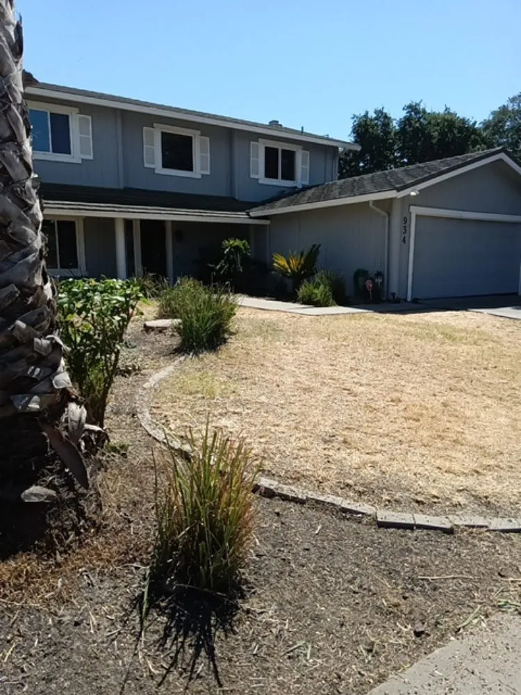 Expert yard cleanup service in Stockton, CA by CJ Kickgrass Lawn Service