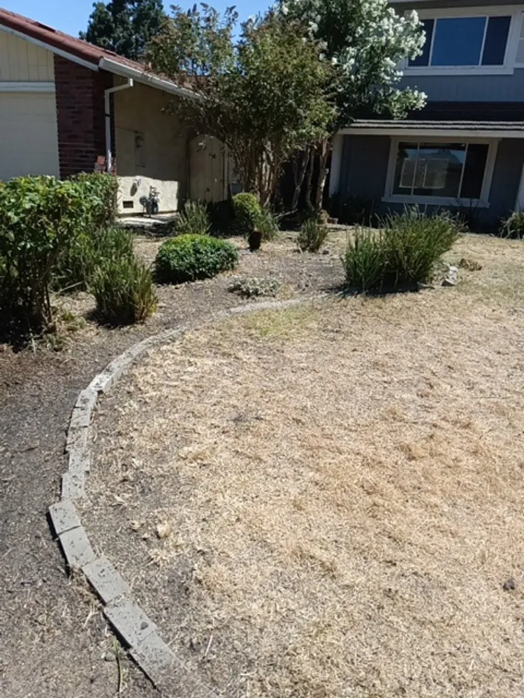 Top-rated lawn mowing service experts serving Stockton, CA - CJ Kickgrass Lawn Service