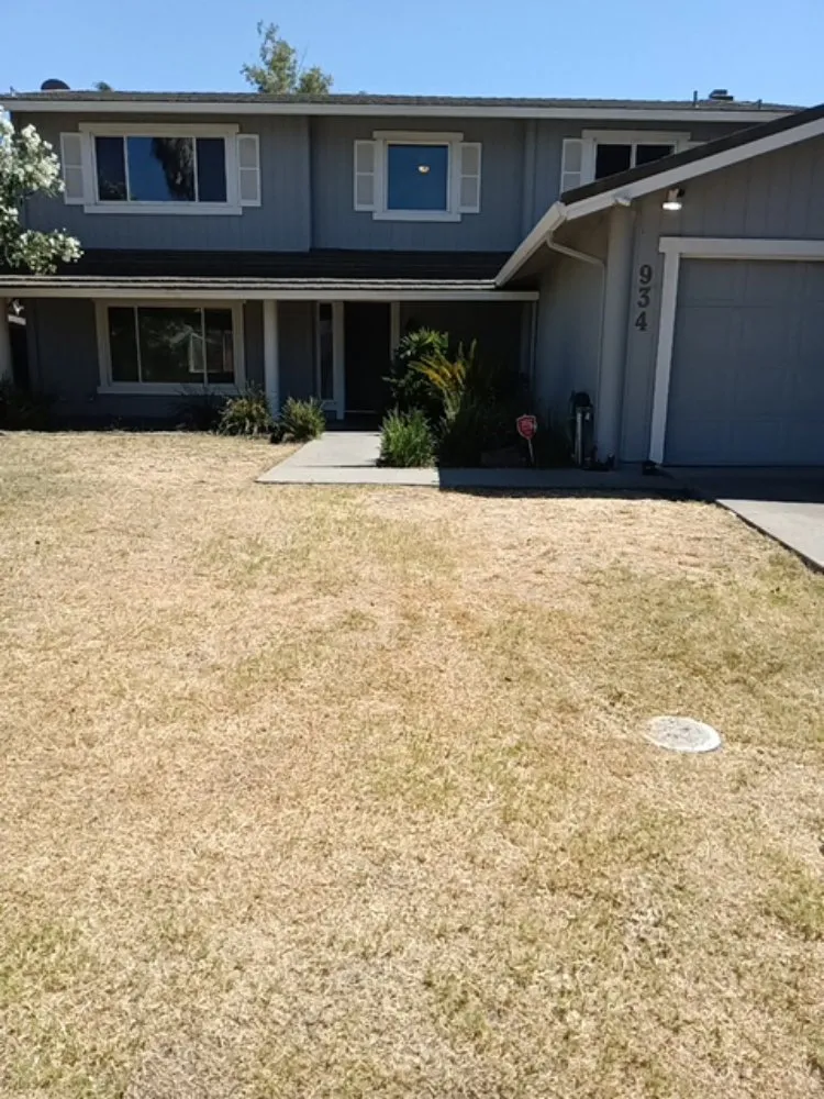 Affordable landscape installation in Stockton, CA by CJ Kickgrass Lawn Service