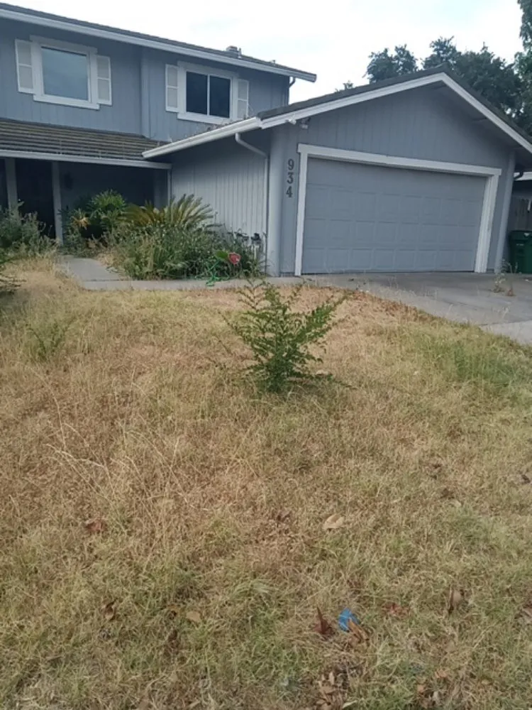 Trusted landscape design for beautiful yards across Stockton, CA - CJ Kickgrass Lawn Service