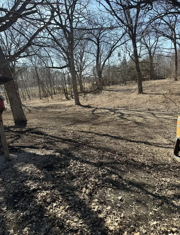 Professional yard cleanup service in New Carlisle, IN - C&J Land Improvements