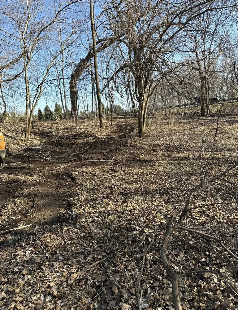 Affordable yard cleanup service in New Carlisle, IN by C&J Land Improvements