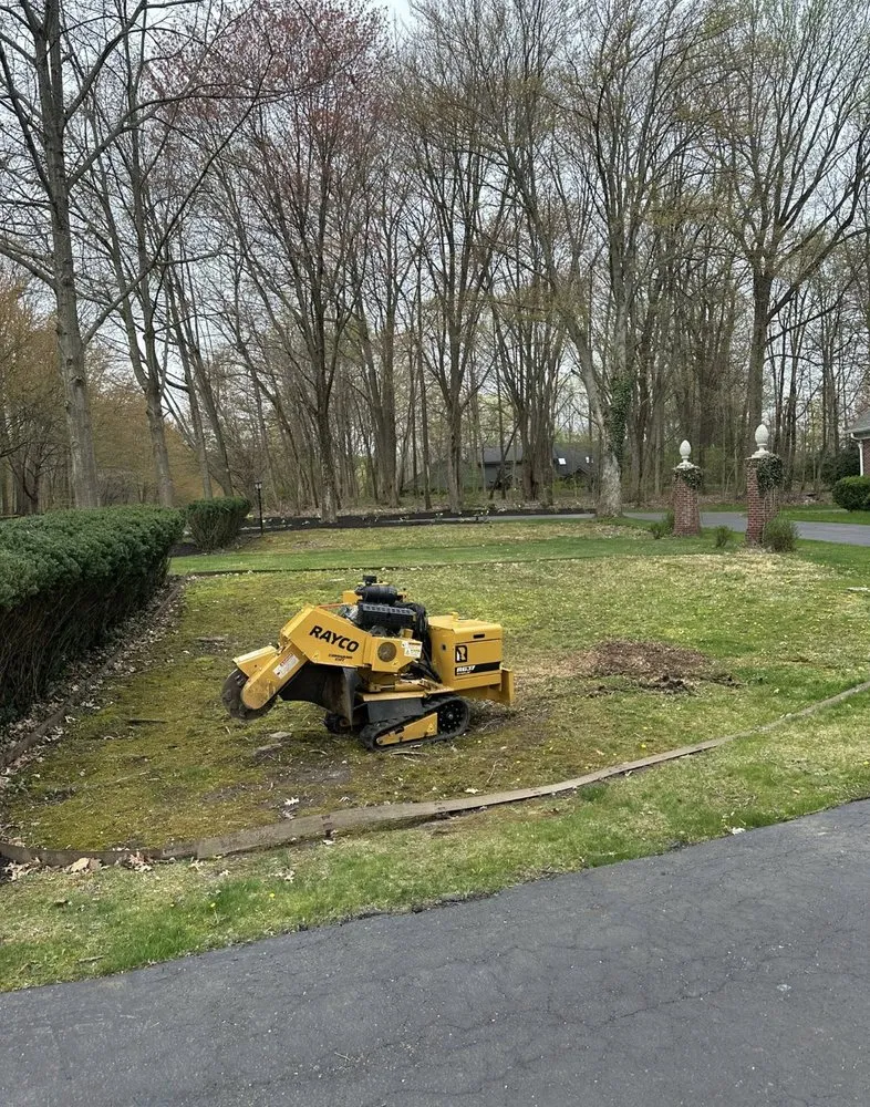 Affordable landscaping services with custom design in New Carlisle, IN by C&J Land Improvements