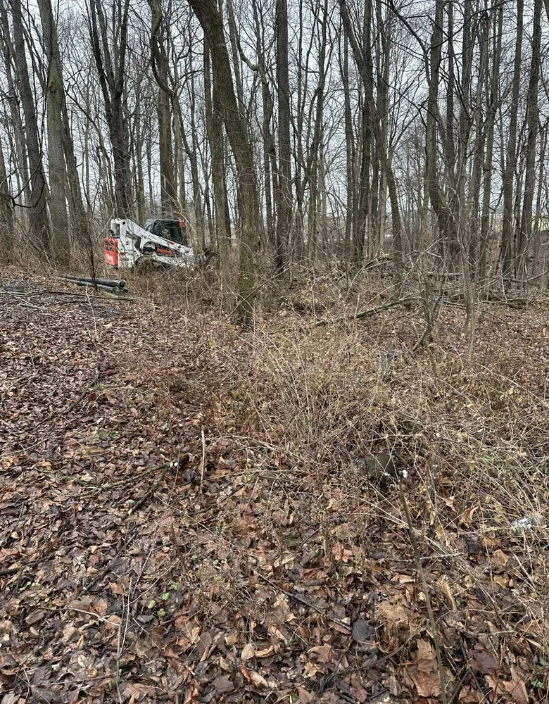 Local landscaping services in New Carlisle, IN by C&J Land Improvements