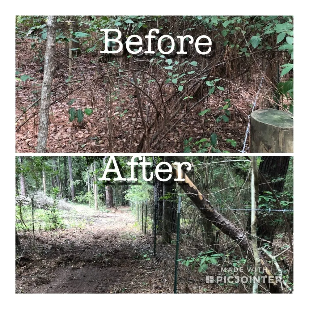 Reliable residential landscaping in New Carlisle, IN by C&J Land Improvements