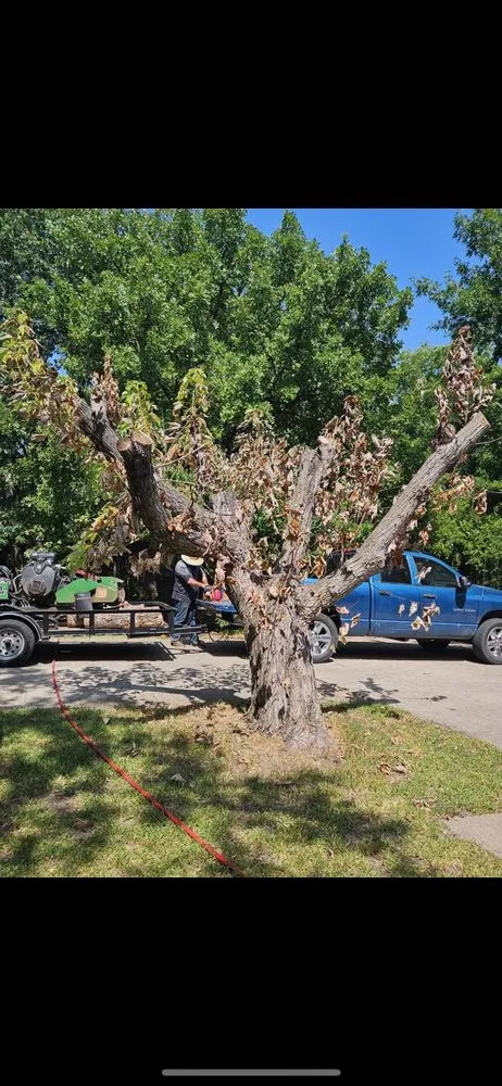 Professional residential landscaping in Sulphur Springs, TX by C&J Land Services