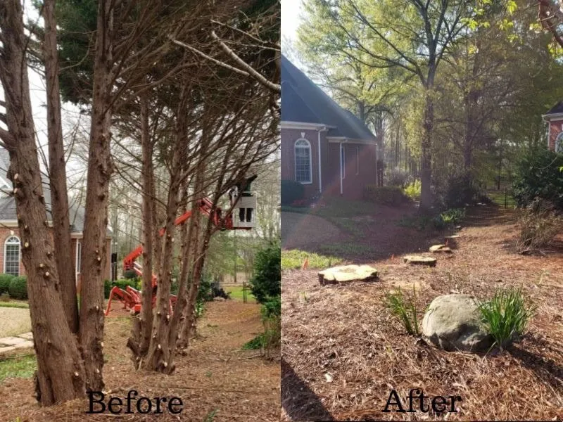 Professional garden landscaping near you in Sulphur Springs, TX by C&J Land Services