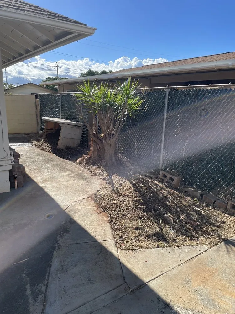 Trusted landscape design in Honolulu, HI by CJ Landscape and Yard Maintenance