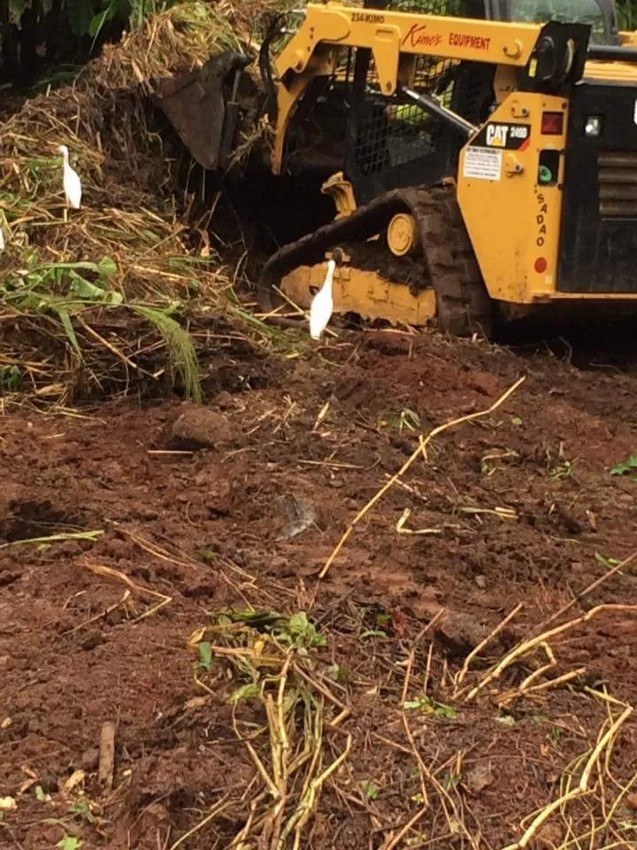 Expert garden landscaping for outdoor upgrades across Honolulu, HI - CJ Landscape and Yard Maintenance