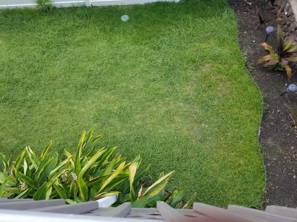 Affordable yard cleanup service experts serving Honolulu, HI - CJ Landscape and Yard Maintenance