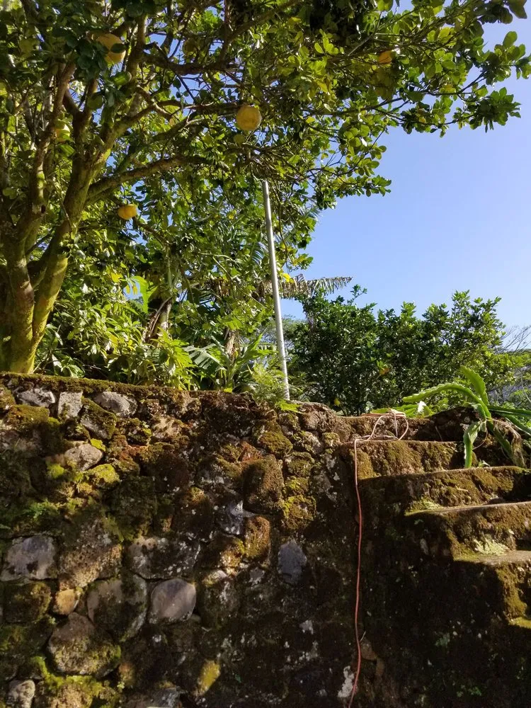 Affordable landscape installation in Honolulu, HI - CJ Landscape and Yard Maintenance