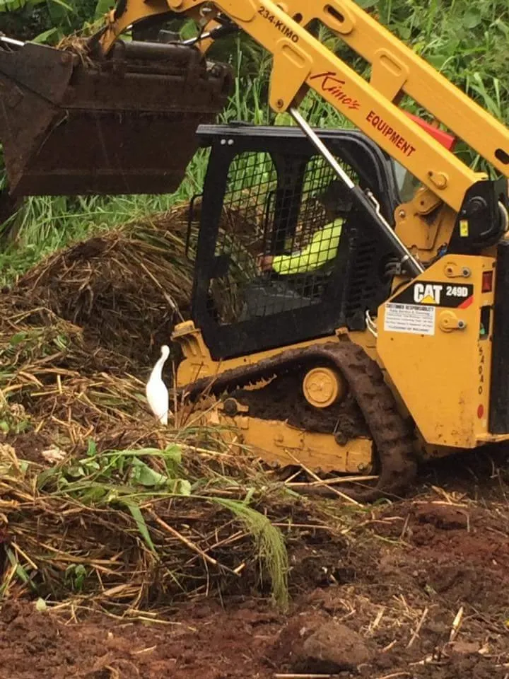 Affordable lawn mowing service in Honolulu, HI by CJ Landscape and Yard Maintenance