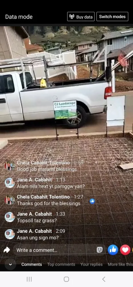 Affordable yard cleanup service for residential properties across Honolulu, HI - CJ Landscape and Yard Maintenance