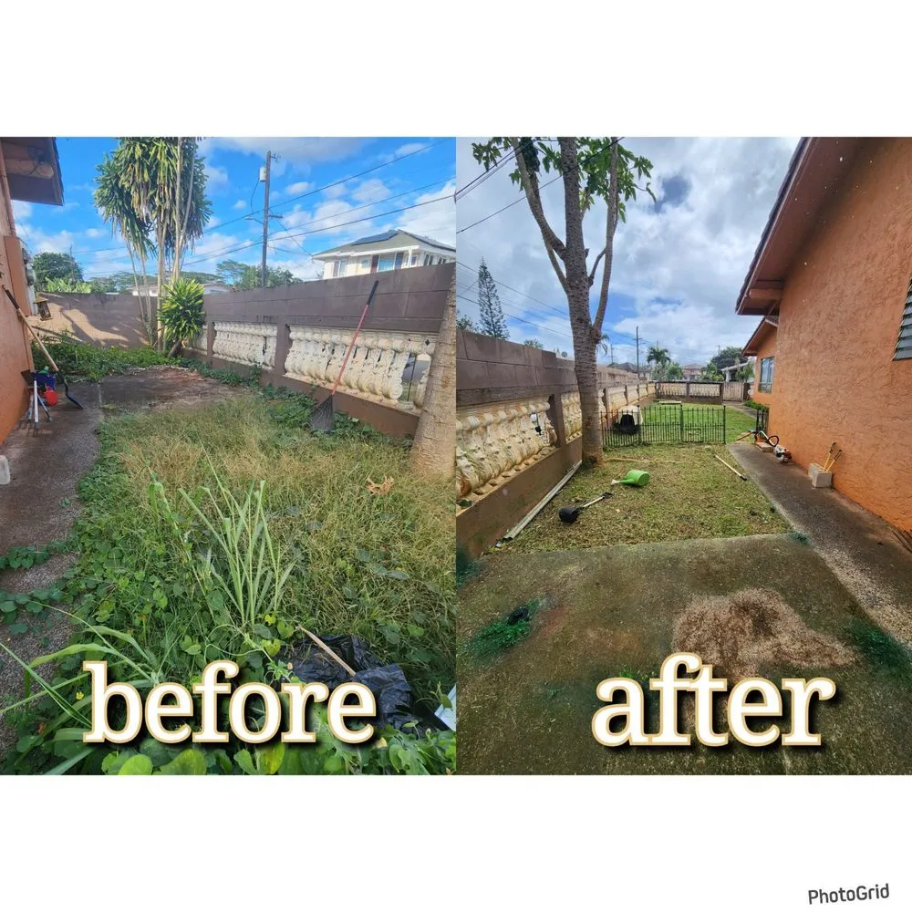 Trusted landscape installation in Honolulu, HI - CJ Landscape and Yard Maintenance