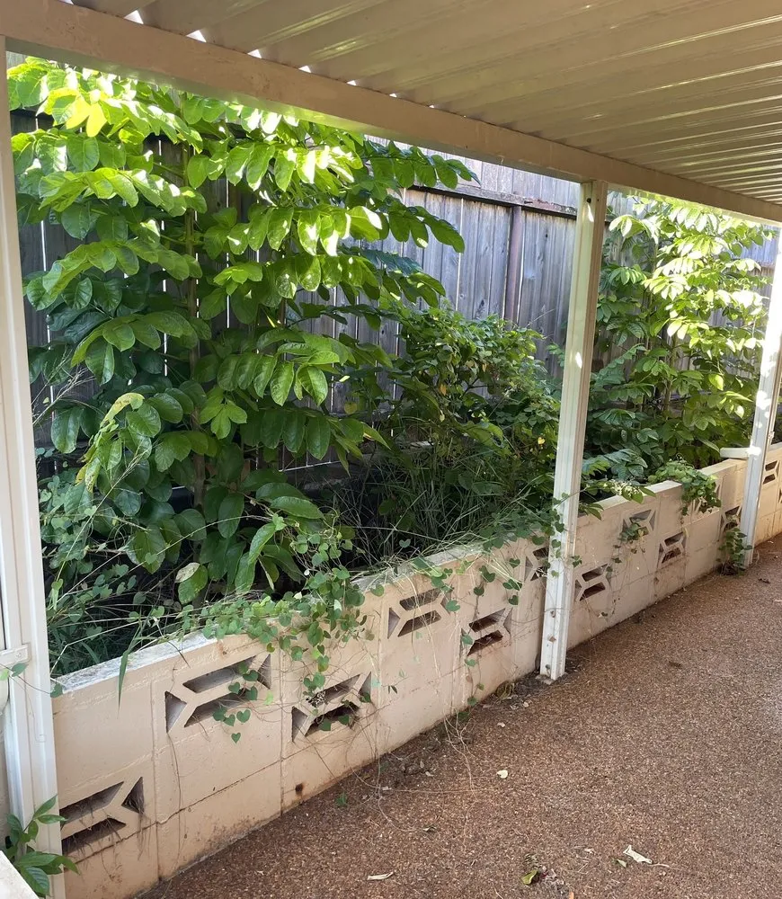 Trusted garden landscaping experts serving Honolulu, HI - CJ Landscape and Yard Maintenance