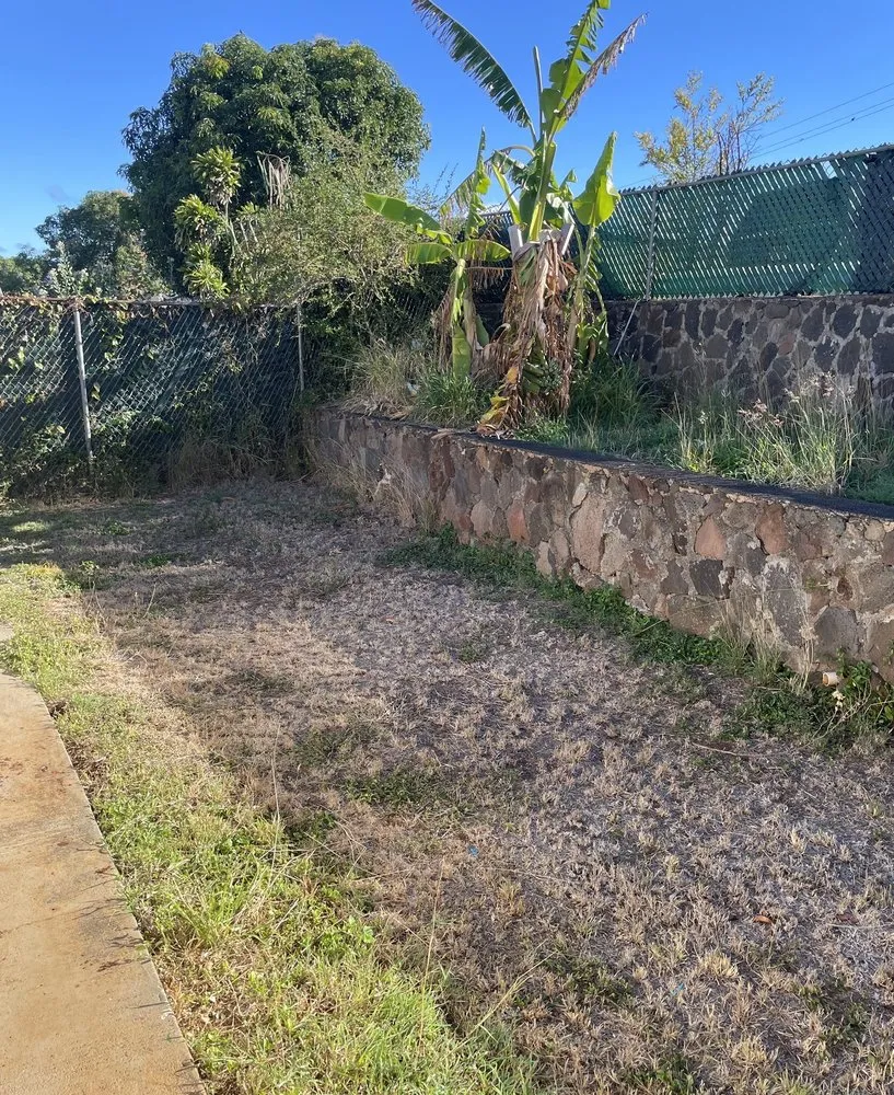 Top-rated yard maintenance in Honolulu, HI - CJ Landscape and Yard Maintenance
